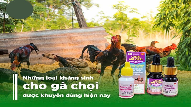 Thuốc giảm đau, chống sốc khi thi đấu