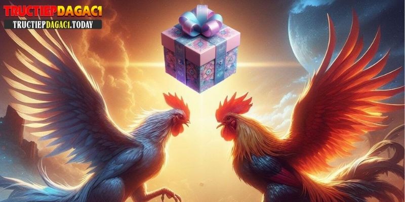 trực tiếp đá gà c1 c2 c3 c4 c5
